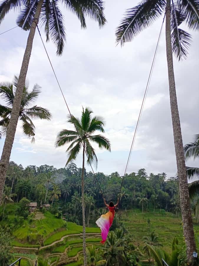 Ubud: Private Charter Car 10hours. - The driver’s role: guide, photographer, and road companion