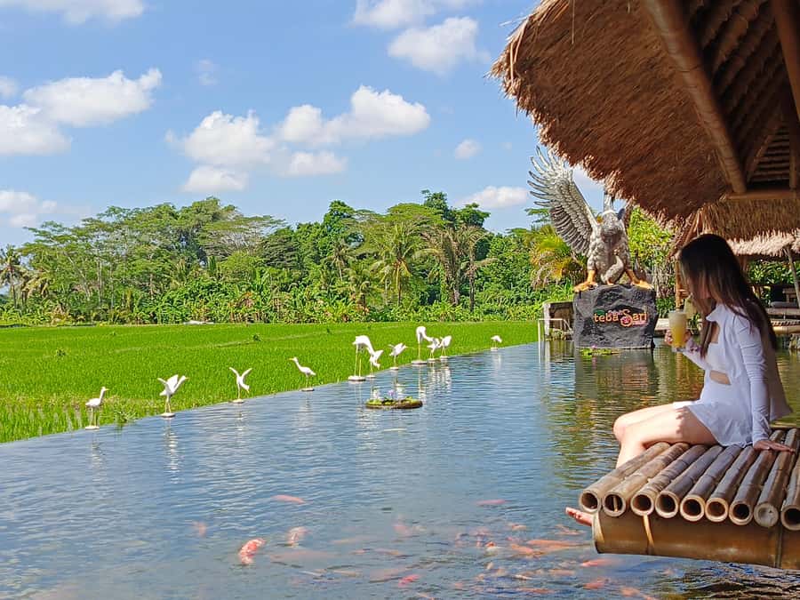 Ubud: Private Charter Car 10hours. - What the $30 price really buys you