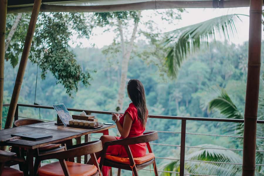 Ubud Private Customized Full-day Tours with Photographer - What the Private Car Adds