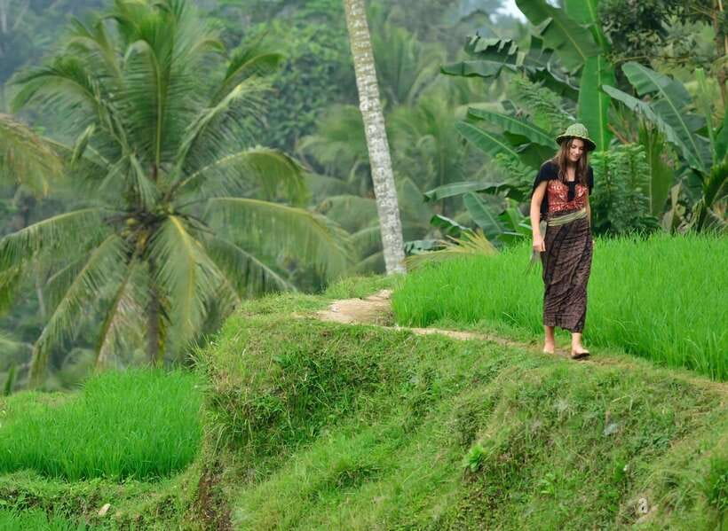 Ubud: Private Half-Day Tour with Rice Terrace & Waterfall - Why this four-hour Ubud outing works