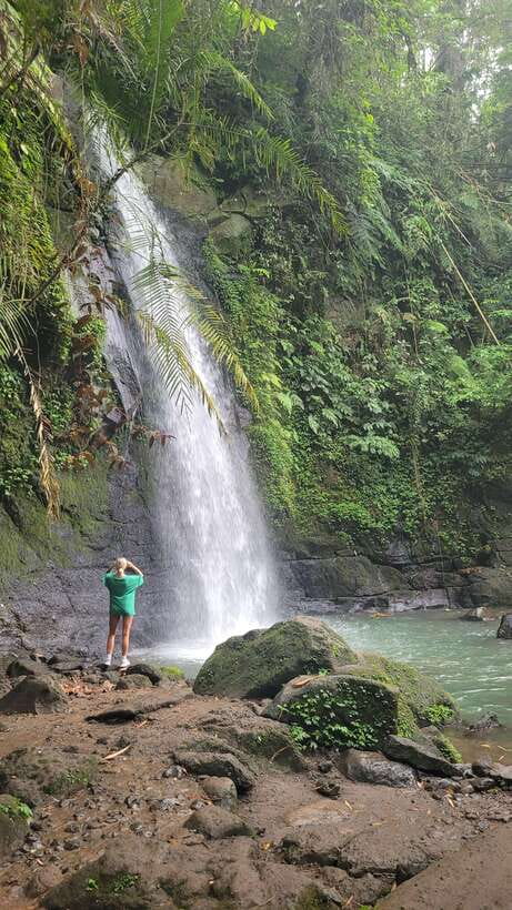 Ubud: Private Half-Day Tour with Rice Terrace & Waterfall - Should you book the Ubud rice terrace and waterfall tour?