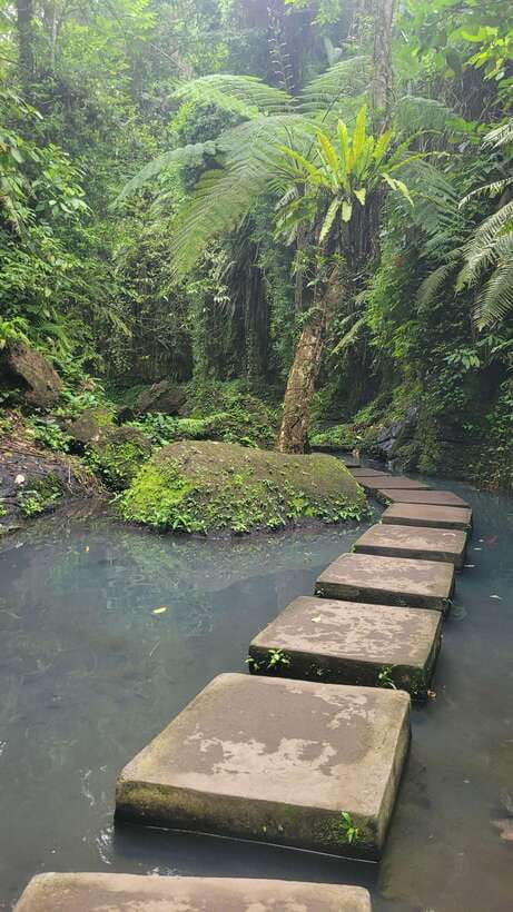 Ubud: Private Half-Day Tour with Rice Terrace & Waterfall - Pura Gunung Kawi Sebatu as the weather backup