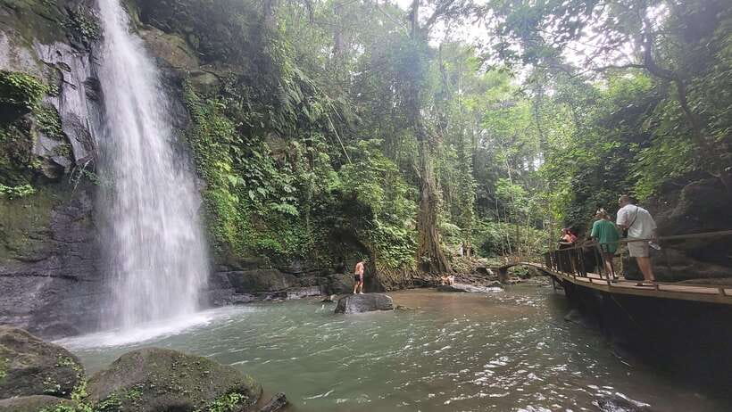Ubud: Private Half-Day Tour with Rice Terrace & Waterfall - What the private vehicle adds