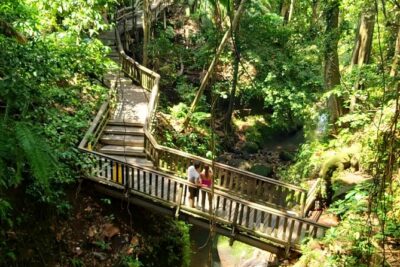 Ubud Private Tour : Best Of Ubud – Guided Tour
