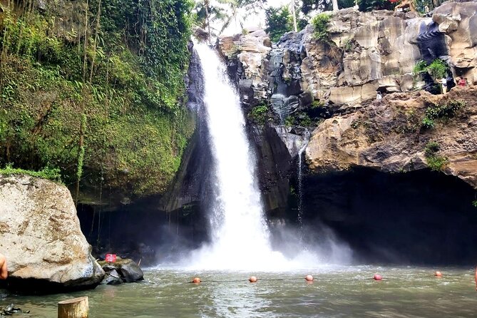 Ubud Private Tour : Best Of Ubud - Guided Tour - Finding Ulu Petanu Waterfall near Tegalalang