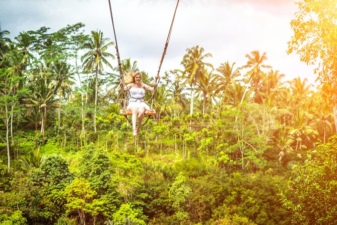 Ubud Private Tour: Monkey Forest - Tirta Empul Temple - Tegalalang Rice Terrace and the famous photo view