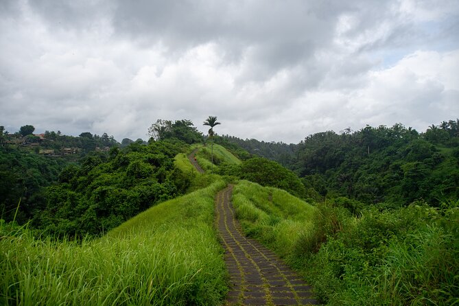 Ubud Private Tour: Monkey Forest - Tirta Empul Temple - Gianyar Street Night Market, where the itinerary becomes local and edible