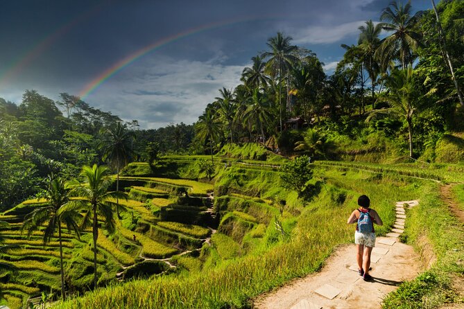 Ubud Private Tour: Monkey Forest - Tirta Empul Temple - What the $35 price really offers