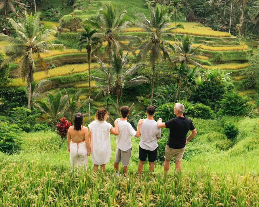 Ubud: Private Tour with Professional Photographer - Aloha Ubud Swing: Scenic Pictures With a Tourist-Attraction Feel