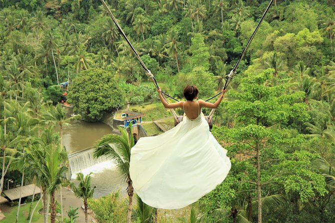 Ubud Private Tours with Jungle Swing Experience - all inclusive - What the $60 Price Really Includes