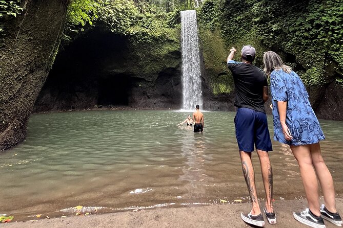 Ubud : Rice Terrace, water Temple and Waterfalls Private tour - Why this private Ubud day works well