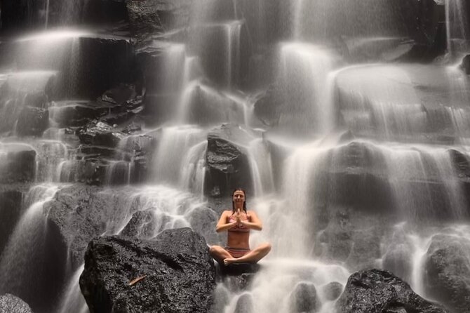 Ubud : Rice Terrace, water Temple and Waterfalls Private tour - Cantik Agriculture: plants, fruit, and local drinks