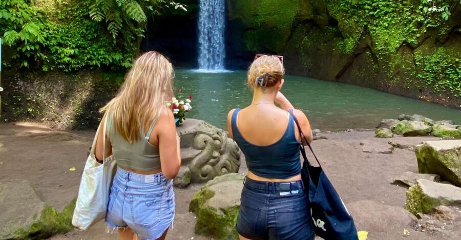 Ubud rice terrace, waterfall, and temple guided trip Bali - Coffee, Tea, and a Taste of Bali