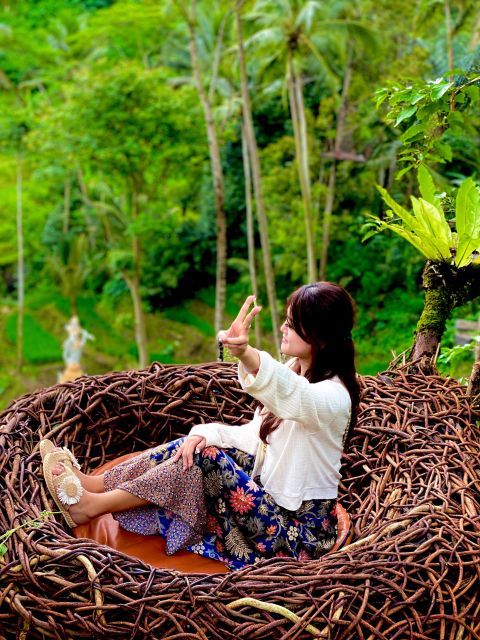 Ubud rice terrace, waterfall, and temple guided trip Bali - Tegallalang Rice Terraces and the Swing