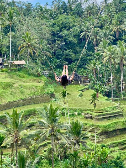 Ubud rice terrace, waterfall, and temple guided trip Bali - Who Should Book This Bali Trip