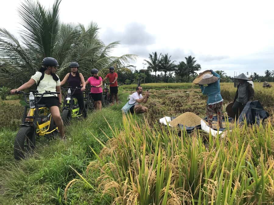 Ubud: Rice Terraces & Villages Half-Day Fat Tire E-Bike Tour - Why an e-bike is a smart way to see Ubud