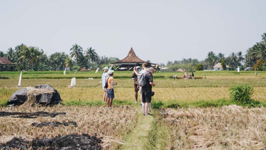 Ubud: Rice Terraces & Villages Half-Day Fat Tire E-Bike Tour - Pickup from Ubud and the ride to the countryside