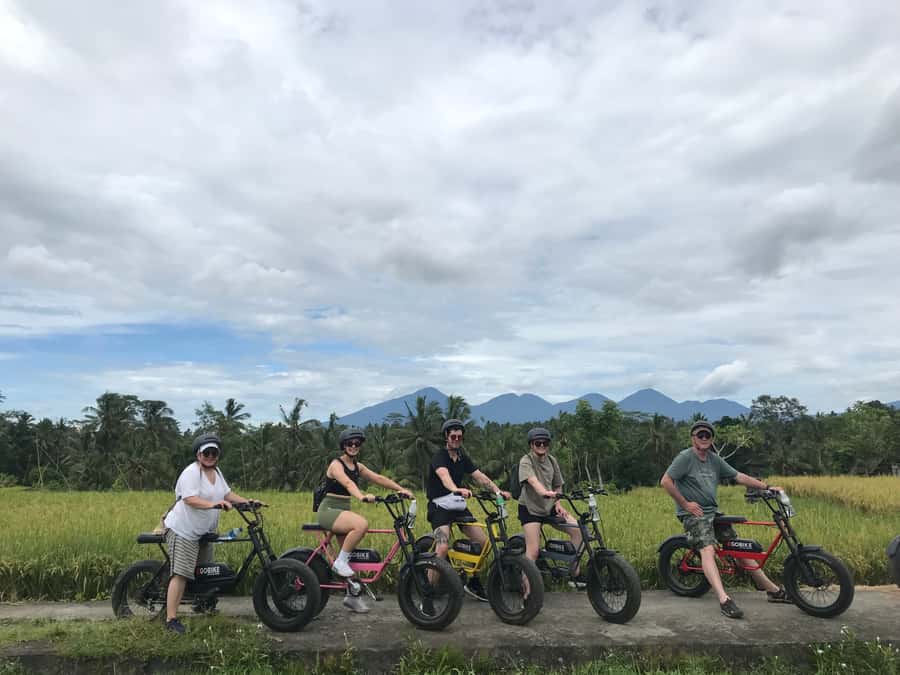 Ubud: Rice Terraces & Villages Half-Day Fat Tire E-Bike Tour - Tegalalang village and a closer look at local life