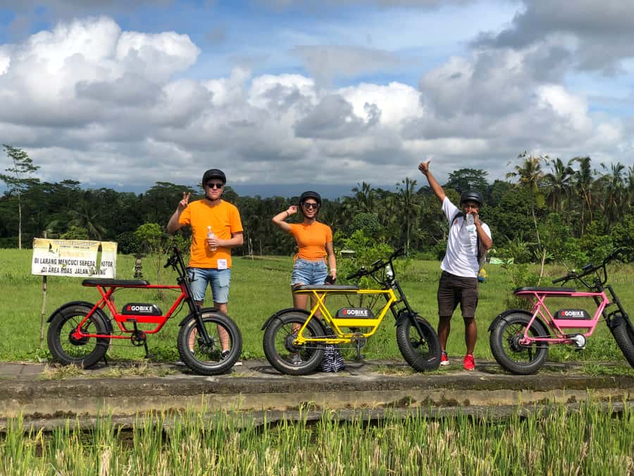 Ubud: Rice Terraces & Villages Half-Day Fat Tire E-Bike Tour - Temples, family compounds, and Balinese culture