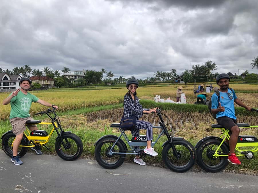 Ubud: Rice Terraces & Villages Half-Day Fat Tire E-Bike Tour - Traffic, safety, and the real level of effort