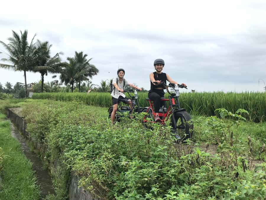 Ubud: Rice Terraces & Villages Half-Day Fat Tire E-Bike Tour - Coffee stops, swings, and route flexibility