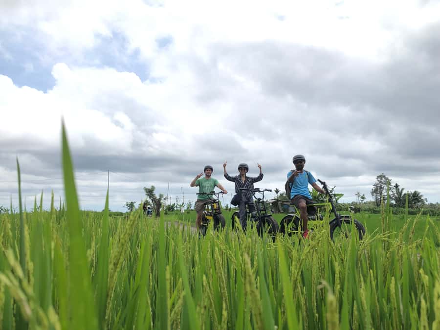 Ubud: Rice Terraces & Villages Half-Day Fat Tire E-Bike Tour - Balinese lunch in Ubud
