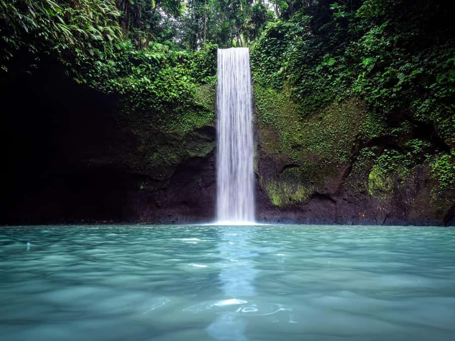 Ubud: Rice Terraces, Water Temple, & Waterfalls Private Tour - Key points to know before booking
