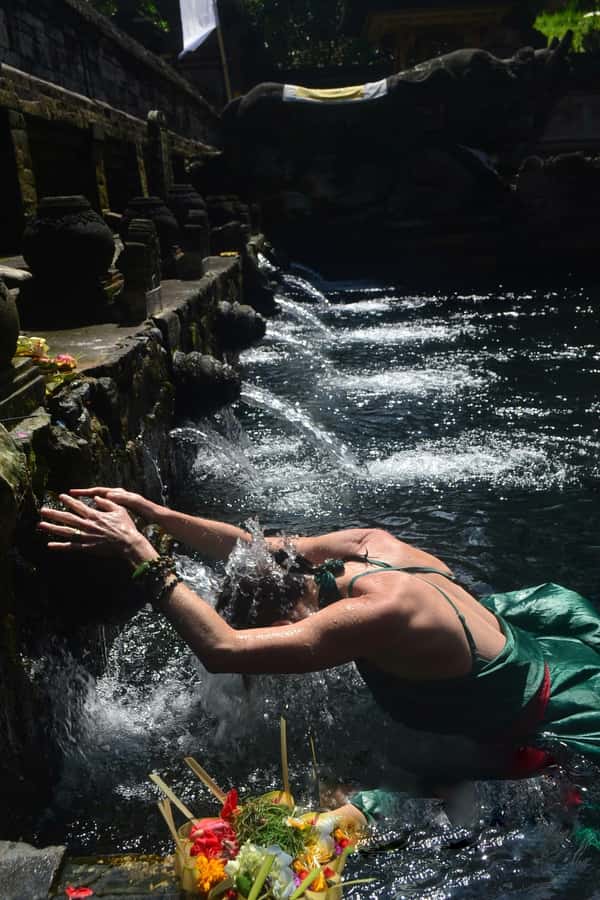Ubud: Rice Terraces, Water Temple, & Waterfalls Private Tour - Why this Ubud combination works