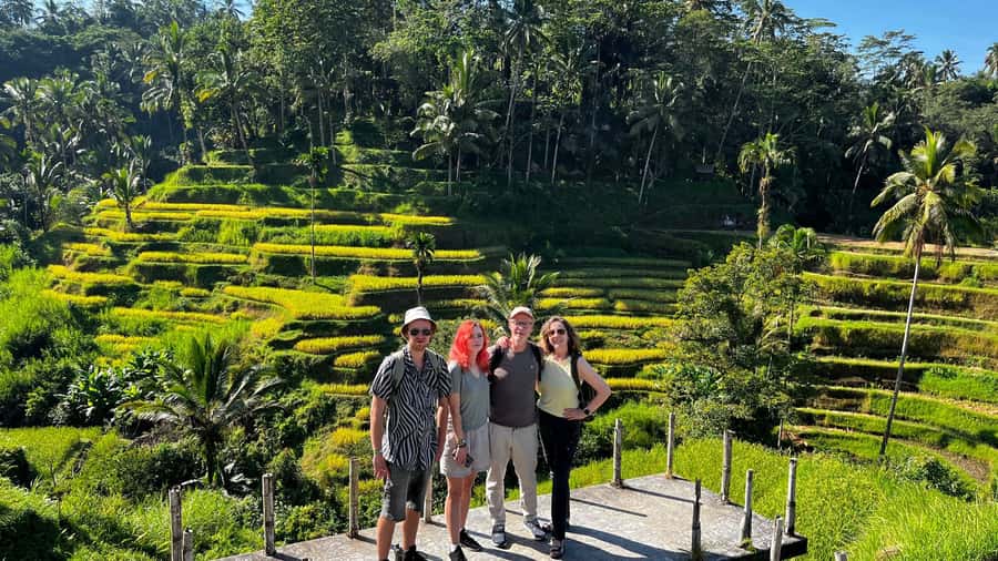 Ubud: Rice Terraces, Water Temple, & Waterfalls Private Tour - Private transport and the value of a flexible day