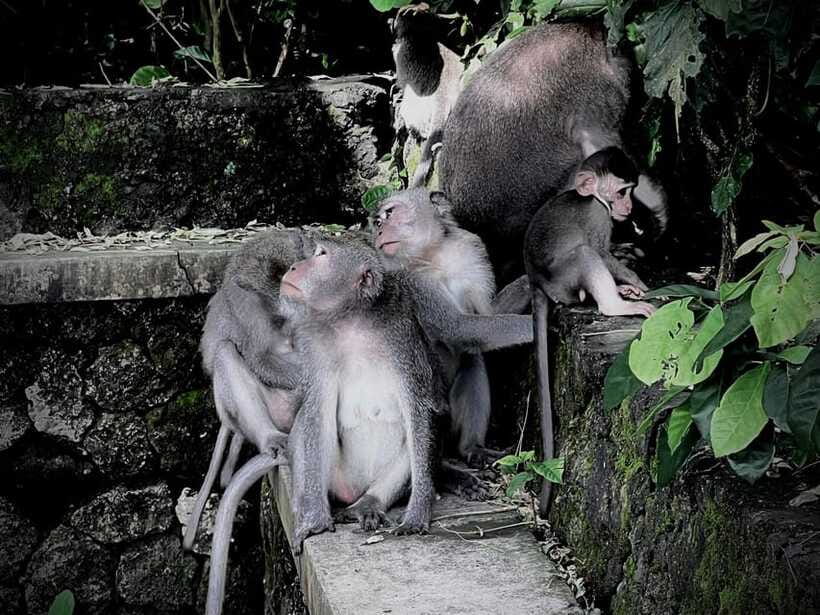 Ubud: Sacred Monkey Forest, Barong Cave ATV & Waterfall Tour - Swimming at Tegenungan Waterfall