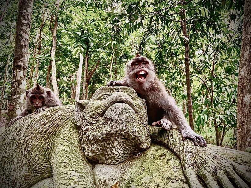 Ubud: Sacred Monkey Forest & Barong Cave ATV with Meal - Key points to know before you book