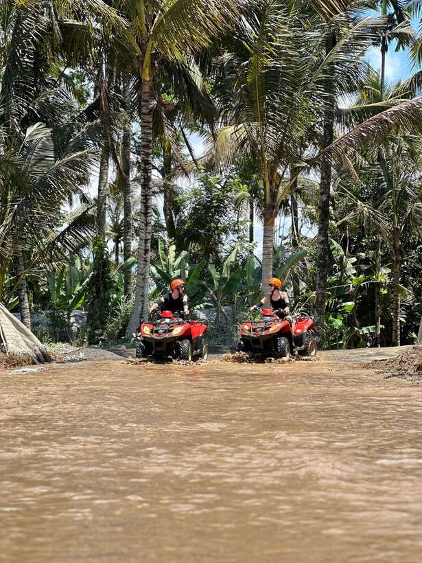 Ubud: Sacred Monkey Forest & Barong Cave ATV with Meal - Who will enjoy this Ubud combination