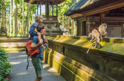 Sacred Monkey Forest Sanctuary Ticket and Guided Tour