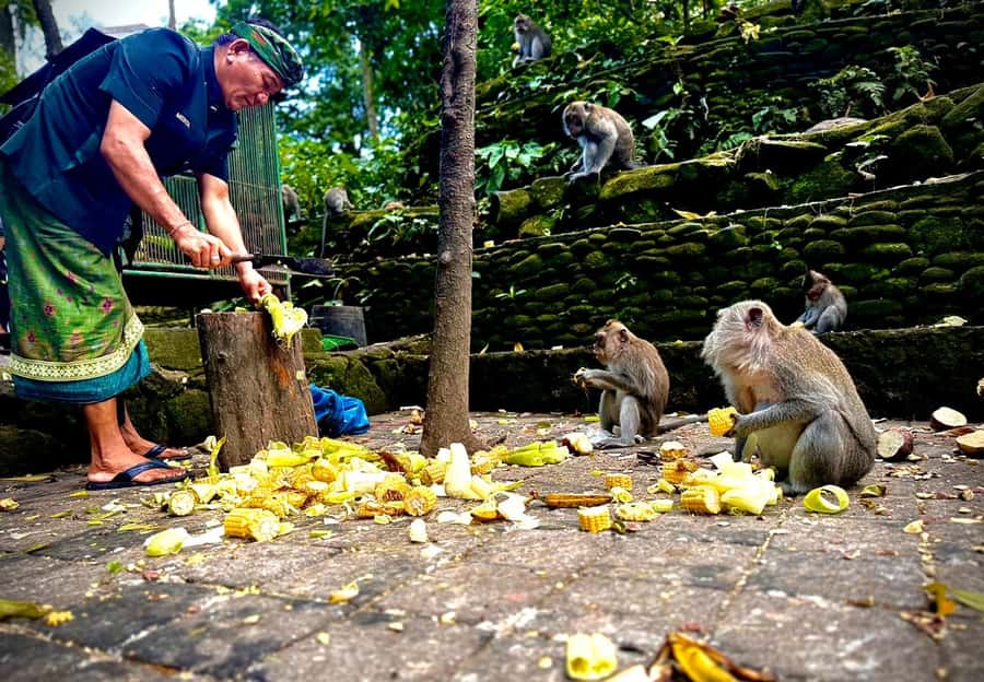 Ubud: Sacred Monkey Forest Sanctuary Ticket and Guided Tour - Pura Beji and the stream below the main path