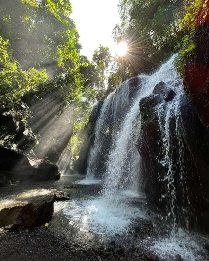 Ubud: Secret Waterfalls and Jungle Swing Private Tour - Tegalalang Rice Terrace: Bali’s working countryside