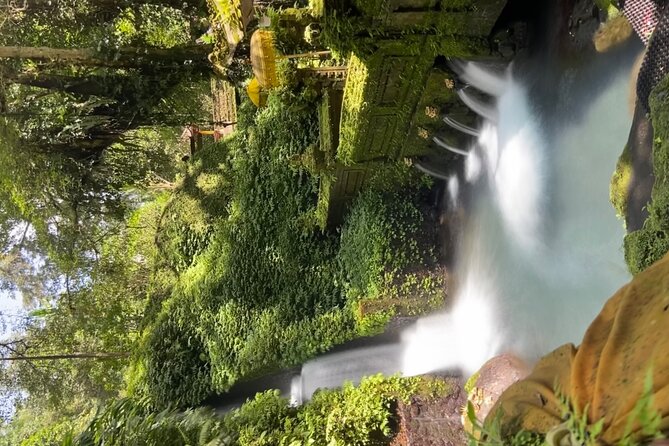 Ubud Shamanic Healing and Purification Ceremony - Meeting a balian in Ubud