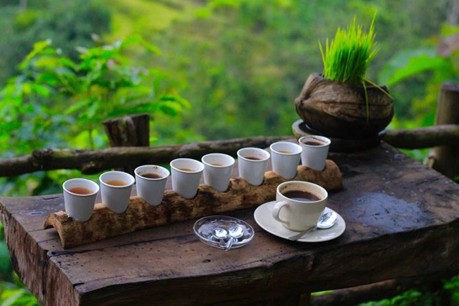 Ubud Sightseeing, Holy Water Temple & Waterfall - A private car changes the feel of the route