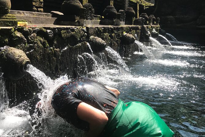Ubud Sightseeing, Holy Water Temple & Waterfall - What the $40 price does and does not cover