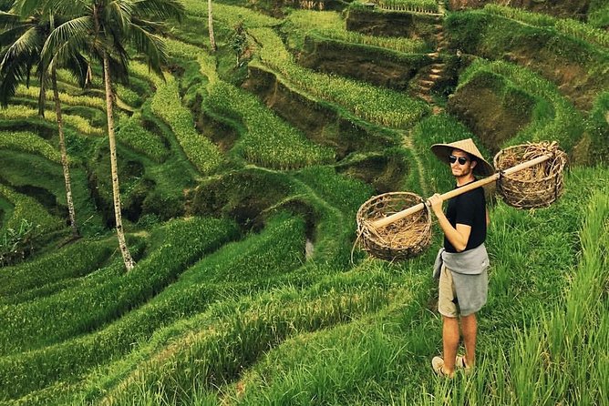 Ubud Sightseeing, Holy Water Temple & Waterfall - Tegenungan Waterfall: Bali scenery with a physical side