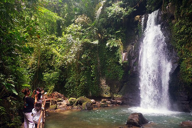 UBUD Spring Temple, Waterfall, Rice Terraces Private Tour - Why this private Ubud route works