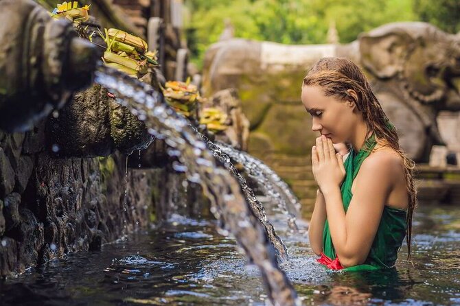 UBUD Spring Temple, Waterfall, Rice Terraces Private Tour - Tegalalang Rice Terrace in a 45-minute window