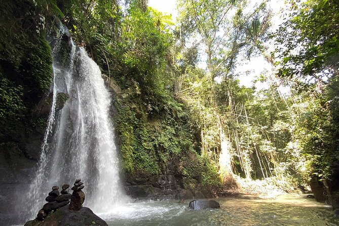 UBUD Spring Temple, Waterfall, Rice Terraces Private Tour - What $129.99 per person really buys