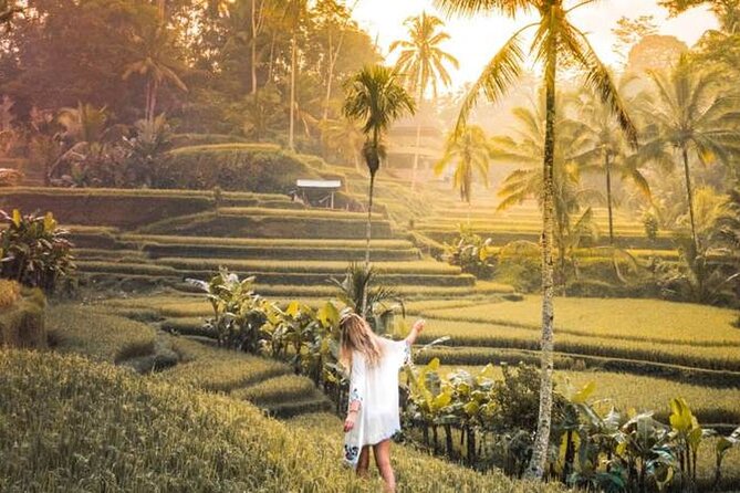 UBUD Spring Temple, Waterfall, Rice Terraces Private Tour - Timing, pickup, and the pace of the road
