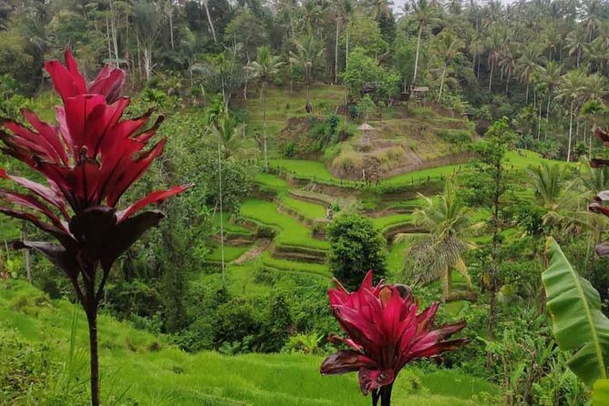 UBUD Spring Temple, Waterfall, Rice Terraces Private Tour - What to pack and how to dress