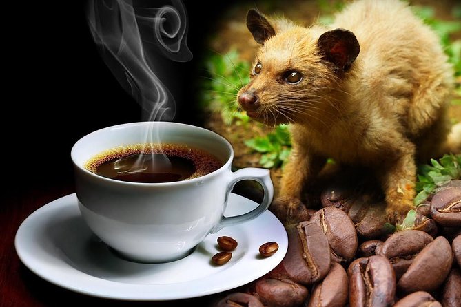 Ubud Surounding Tour - Learning about luwak coffee at Segara Windhu