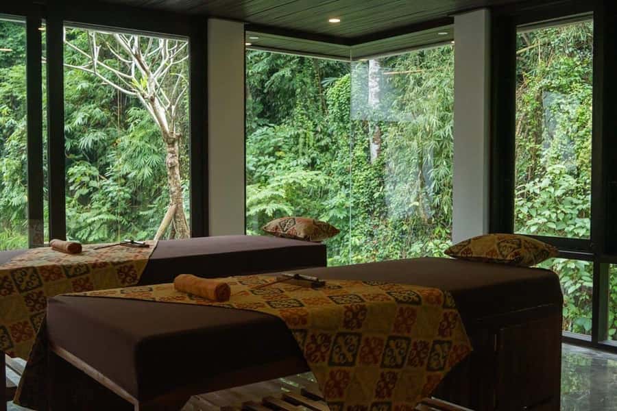 Ubud: Tejas Spa Unagi Riverfront Massage & Flower Bath - The river and jungle views are part of the treatment