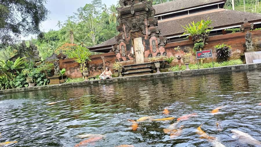 Ubud: Tirta Empul, Rice Terrace, Waterfall and Custom Tour - Key points to know before booking