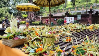 Tirta Empul, Rice Terrace, Waterfall and Custom Tour