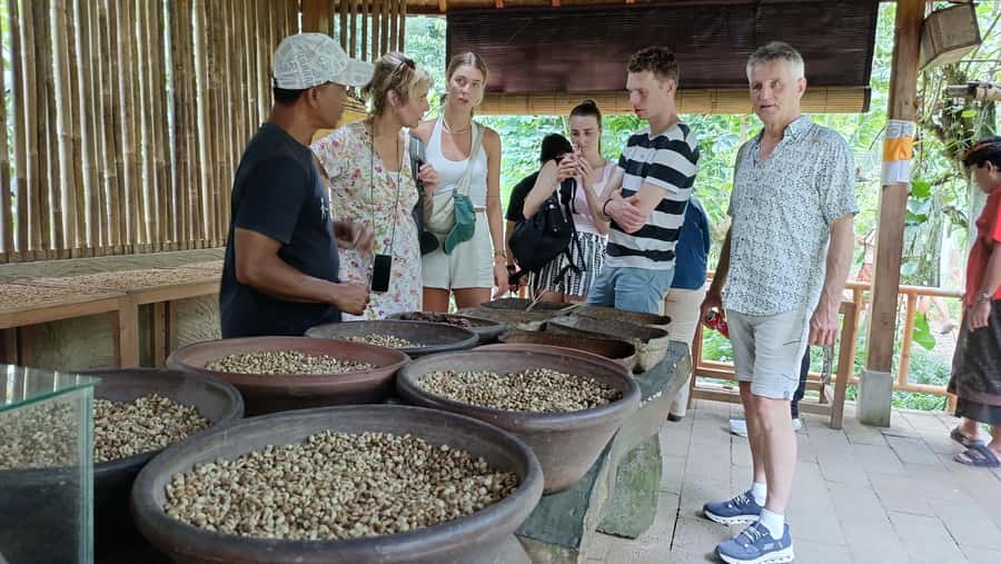 Ubud: Tirta Empul, Rice Terrace, Waterfall and Custom Tour - Transport, meeting point, and guide style