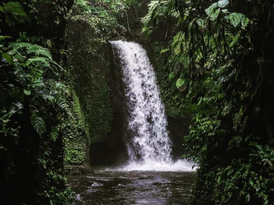 Ubud: Tirta Empul Water Purification Ritual, Private Tour - Why Tirta Empul gives this tour its purpose